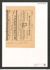 Nitzschia weissflogii var. subglabra Grun. (de-Toni-Nr.: Genus 47, Species 2061) Zeichnungen Sammlung Grunow (NHMW-BOT-W0371917)